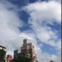 用戶頭像