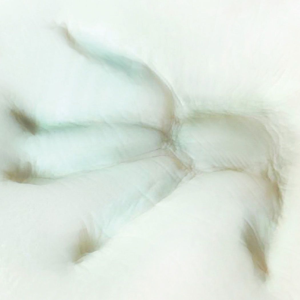 Fotex 芙特斯 - 小小瑜好評推薦 Fotex 【防蟎記憶枕】肩頸款 含外層物理性防螨套 釋壓枕頭 過敏患者專用 (64x39x10.5cm)