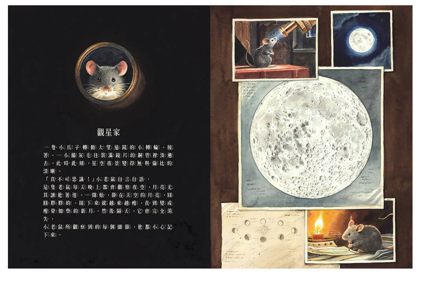 阿姆斯壯：小老鼠登月大探險