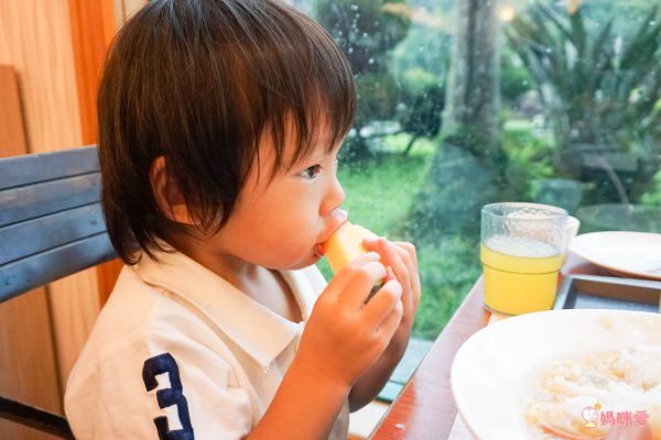 統一渡假村【新竹馬武督】全面升等四人房❤全新綠野仙蹤秘境，孩子放電太好玩！