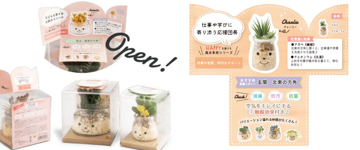 日本 KISHIMA - CT觸媒 開運消臭仿真多肉盆栽-成長-Daniel (L(φ10x11.5cm))