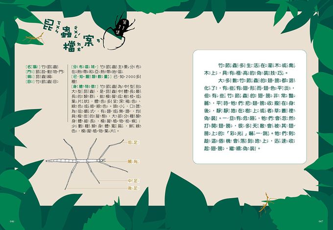 【神奇圖書館】昆蟲特戰隊(2)殭屍螽蟖（中高年級知識讀本）
