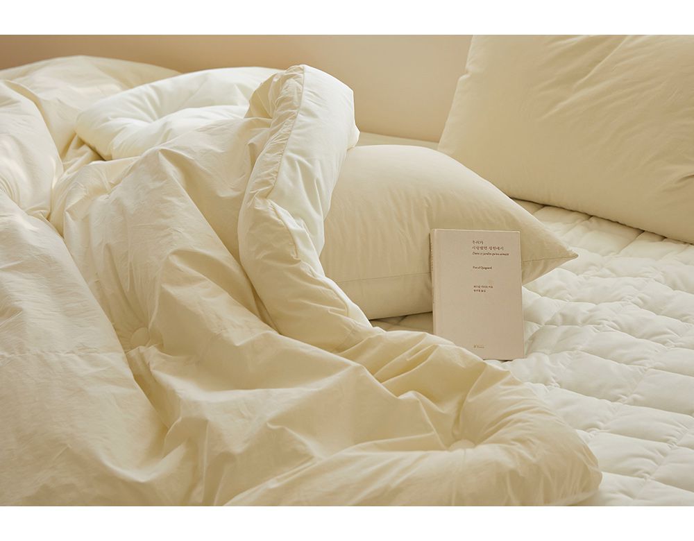 韓國 Maatila - 高密度60支棉舒柔超細纖維棉被(冬被)-奶油黃
