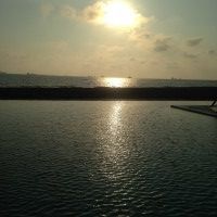 用戶頭像