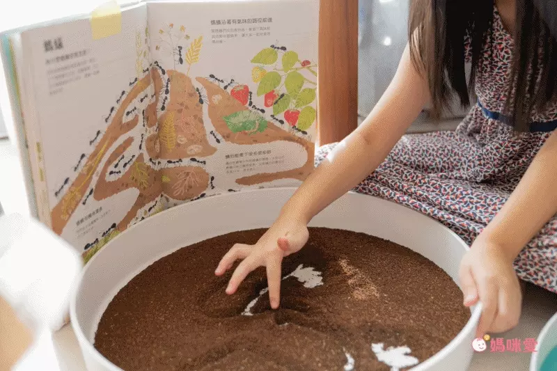 超激推5in1感官盆【韓國POKI趣玩盆】啟發創意力