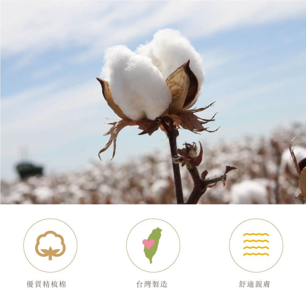 貝柔 Peilou - 兒童精梳棉細針學生襪(6雙組)-船型襪-黑色