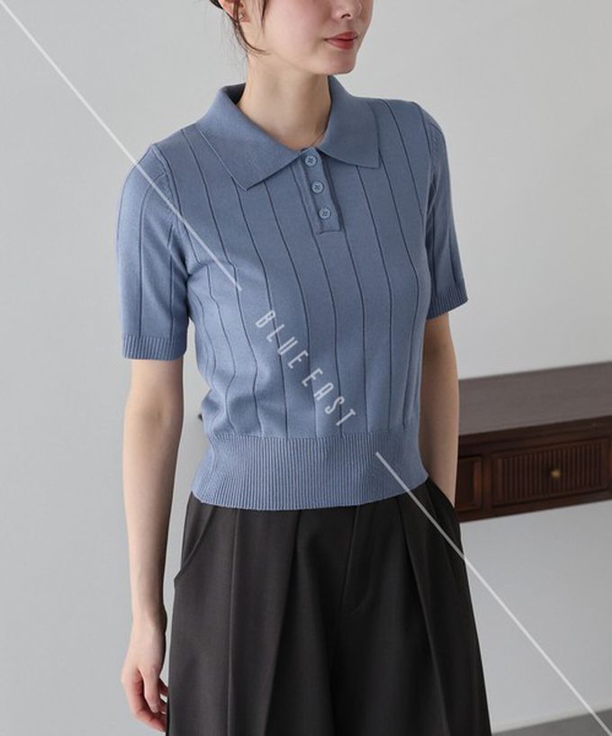 日本 BLUE EAST - 都會氣息寬羅紋針織短袖polo衫-黑