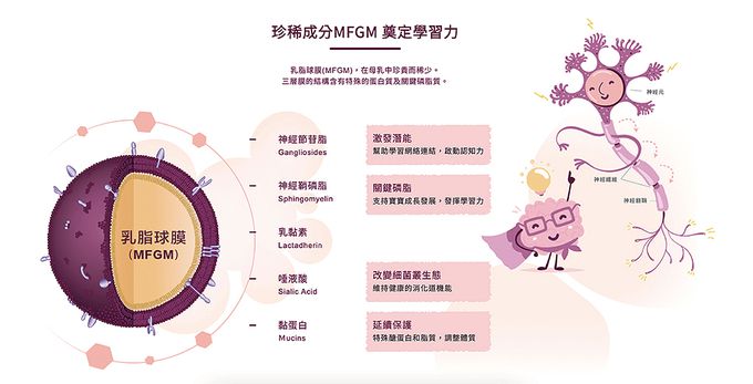 林貝兒 - 幼兒成長配方1~3歲-750公克x3罐+280公克(20條)x1盒