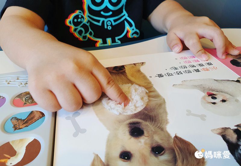 有聲書-汪汪！認識小狗和牠的朋友