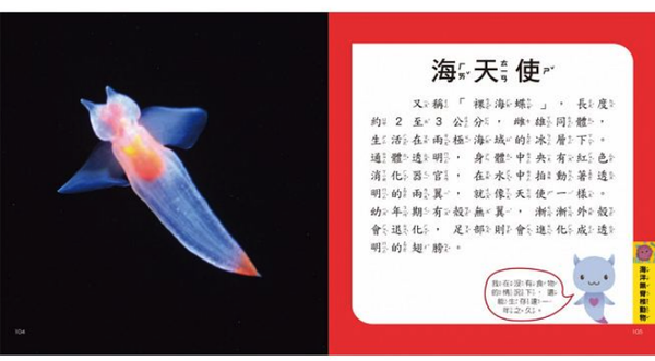 我的第一本海洋博士小百科NEW-1本小百科+12款海洋學習模型及4個珊瑚配件+收納袋