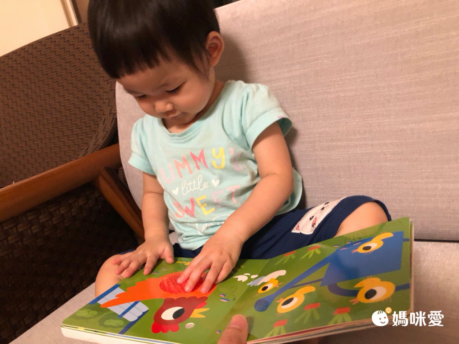 下殺57折起↘法國感統觸摸有聲書  0-3歲可摸可聽可看