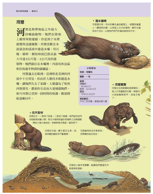 國家地理：哺乳動物圖鑑 (精裝 /93頁 /全彩印刷)