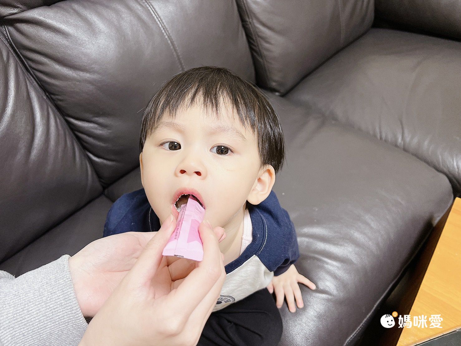 波力聯名造型【鑫耀生技Panda】益暢酵素多益菌/藻精蛋白粉