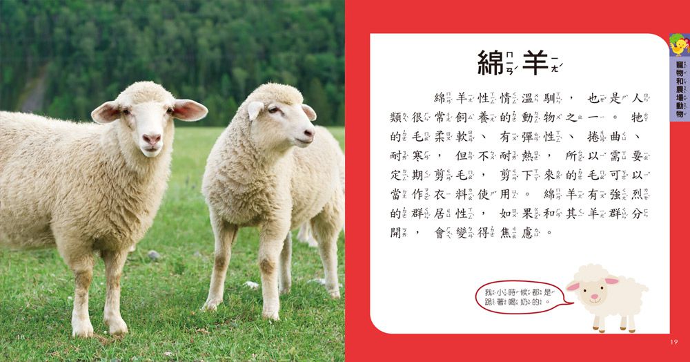 我的第一本動物博士小百科NEW-1本小百科+12款動物學習模型+收納袋