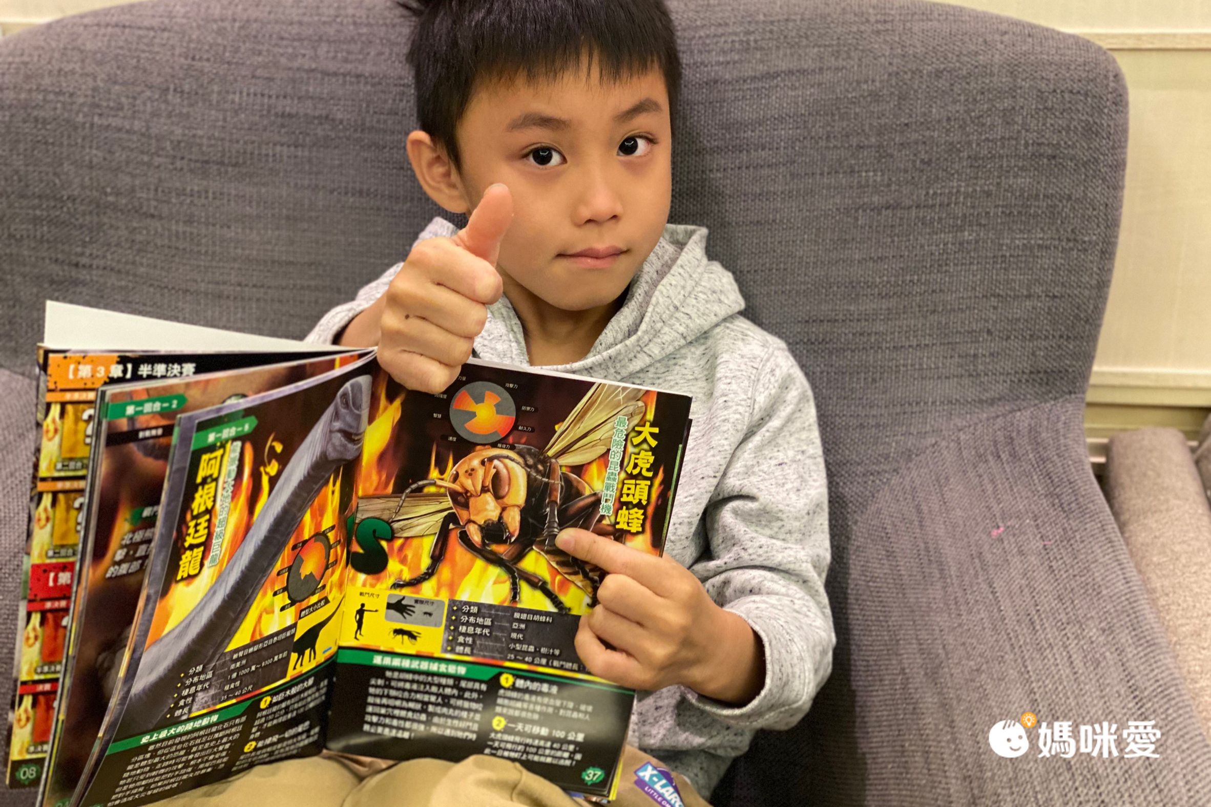 昆蟲最強王圖鑑(新版)