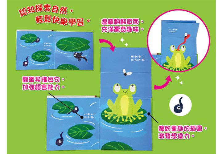 我是這樣長大的-4本合購：蝌蚪游啊游+小雞跑啊跑+螞蟻爬啊爬+毛毛蟲變啊變