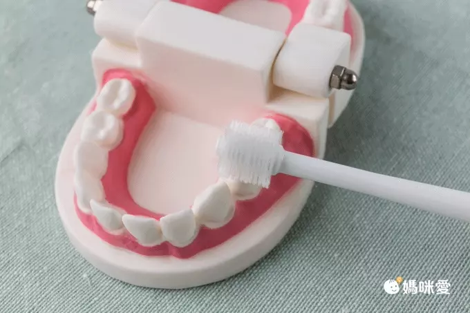 日本西松屋 - 日本製 360度兒童牙刷超值3件組-白-3-36個月