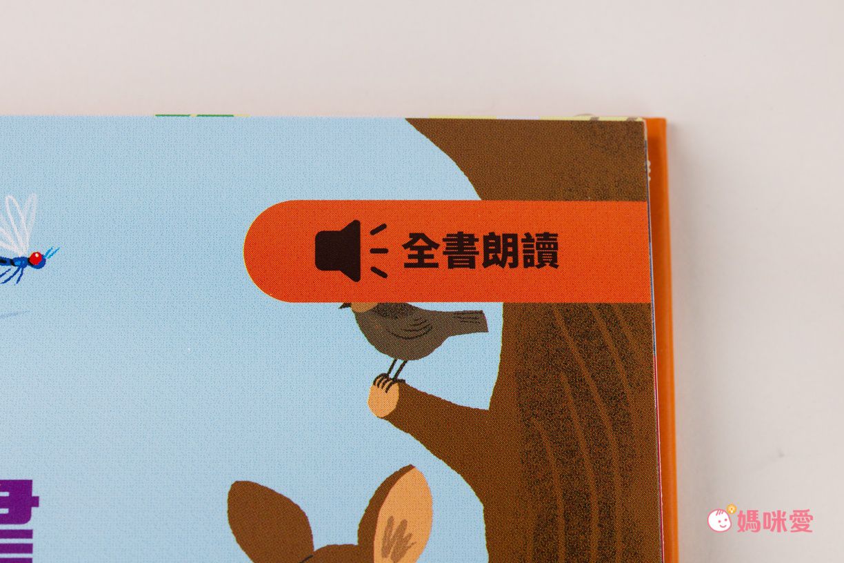 KiDiDOC 超好玩互動知識書