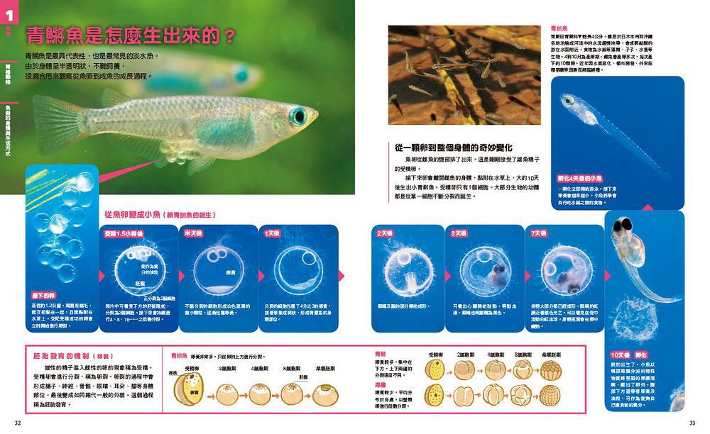 中小學生必讀科學常備用書（全套共四冊）: New全彩圖解觀念生物、地球科學、化學、物理-平裝