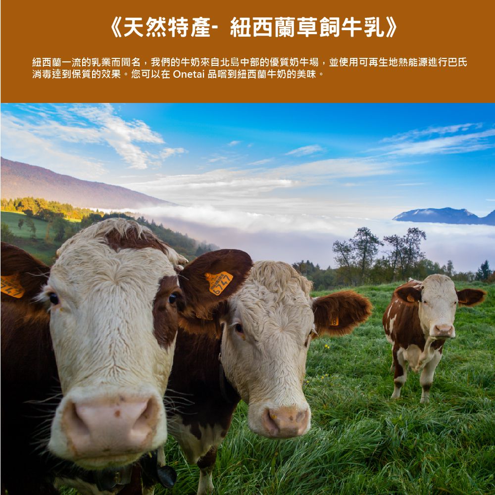 壽滿趣 - Onetai紐西蘭麥蘆卡蜂蜜牛奶抹醬-麥蘆卡蜂蜜牛奶-250公克