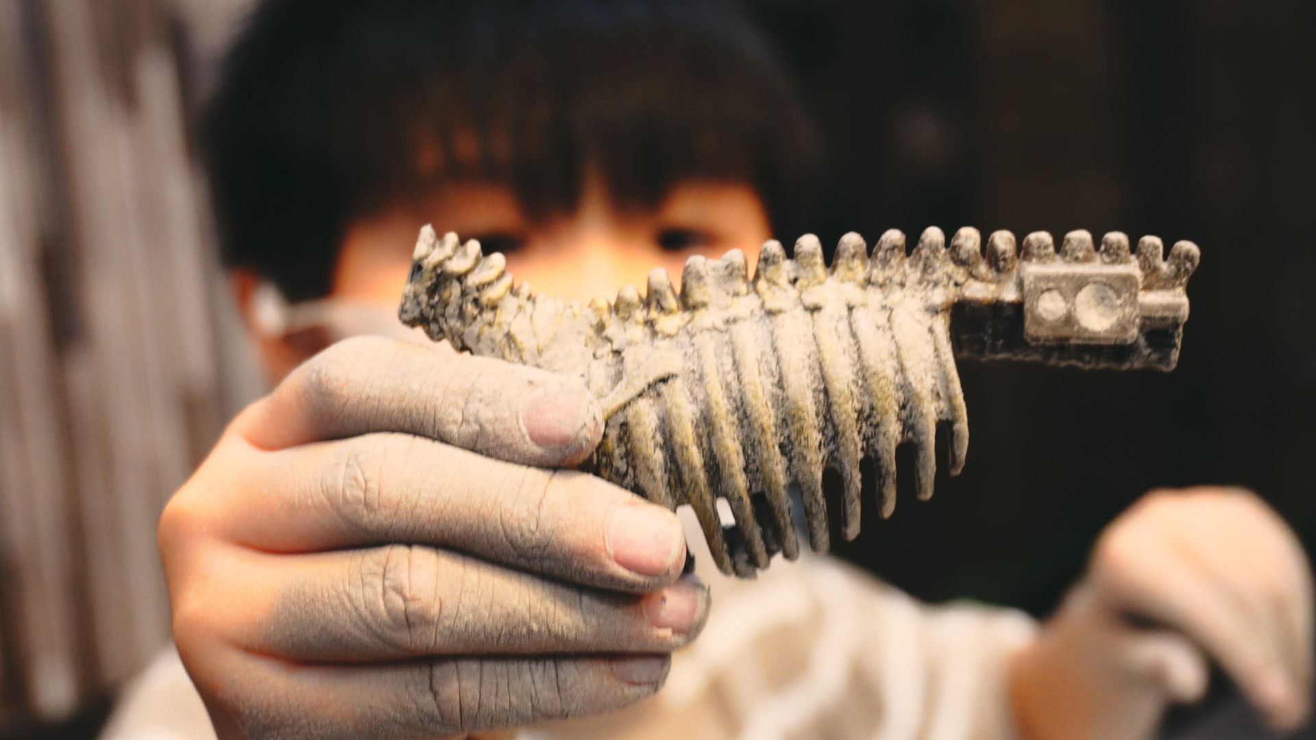 禾流文創 - 考古挖挖哇-恐龍化石出來囉