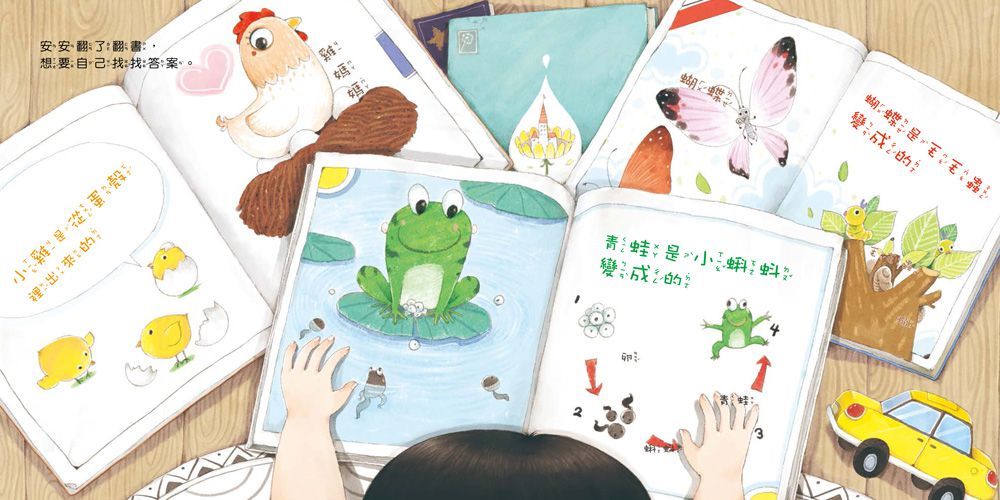 媽媽，我是怎麼來的？