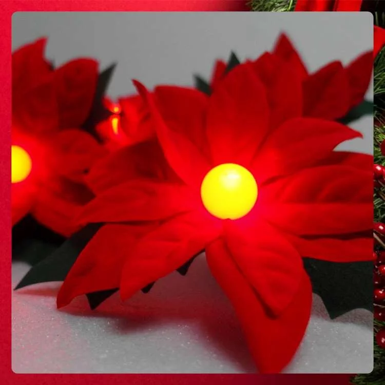 LED聖誕紅花珍珠燈串10燈(插電式)-暖白光-單花尺寸: 11-12cm，花與花間距 : 24cm，第一朵花到插座線長 150cm