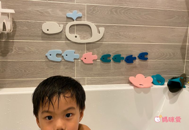 比利時 QUUT - 鯊魚拼貼