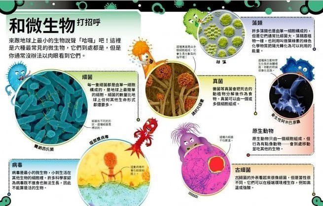 小心，這本書有細菌！：認識細菌、病毒和真菌的強大微生物王國 (精裝 / 72頁/全彩印刷)