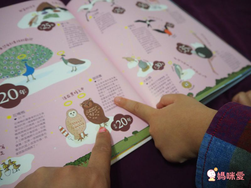 壽命圖鑑：從人類到宇宙萬物的生命圖鑑