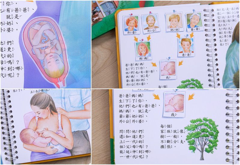 2D透視膠片書-工地實況