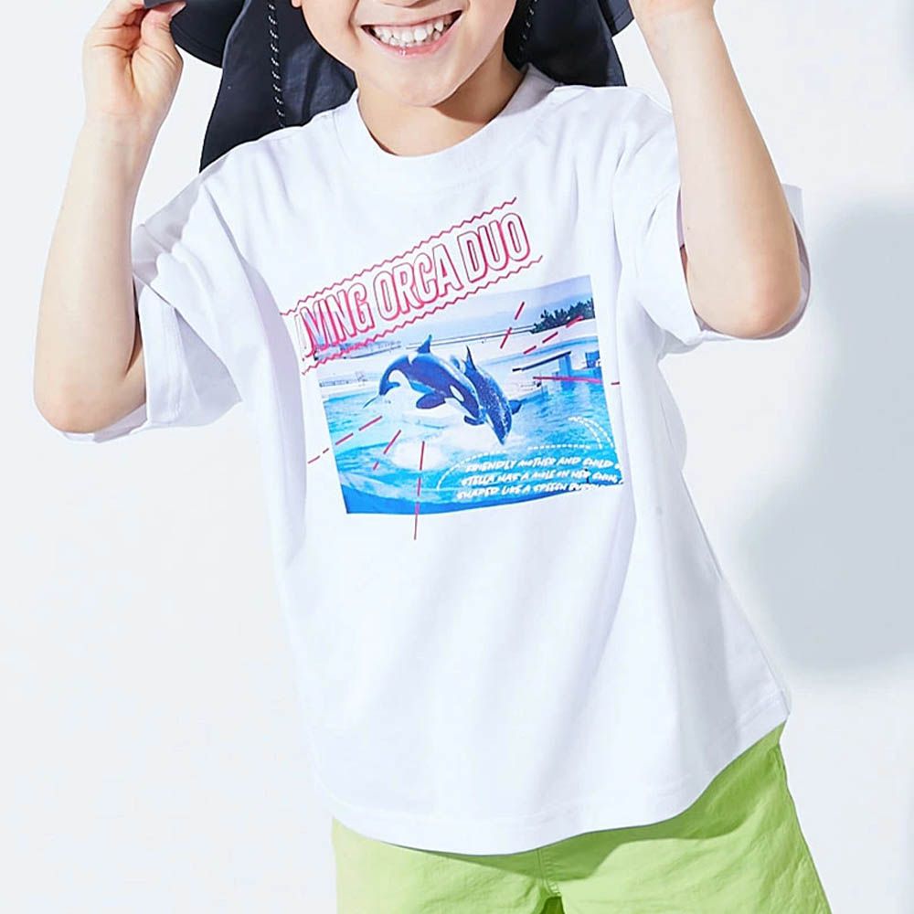 接觸涼感 抗UV變色短袖上衣(神戶水族館聯名）-虎鯨-白