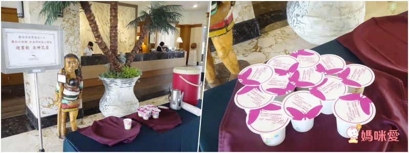 台東池上日暉國際渡假村｜頂級 Airstream 露營車