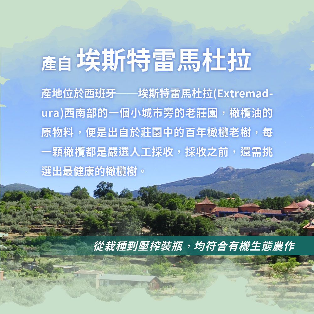 瑪伊娜有機特級初榨冷壓橄欖油(0.5L)-500ml/瓶