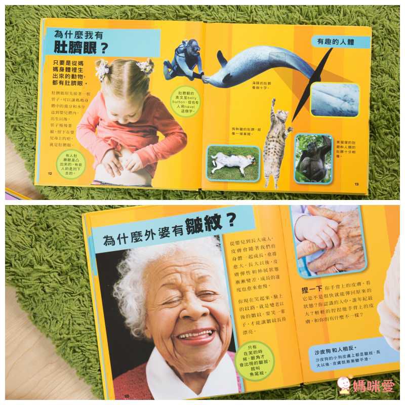 小小知識探險家 (精裝 / 128頁 / 全彩印刷)