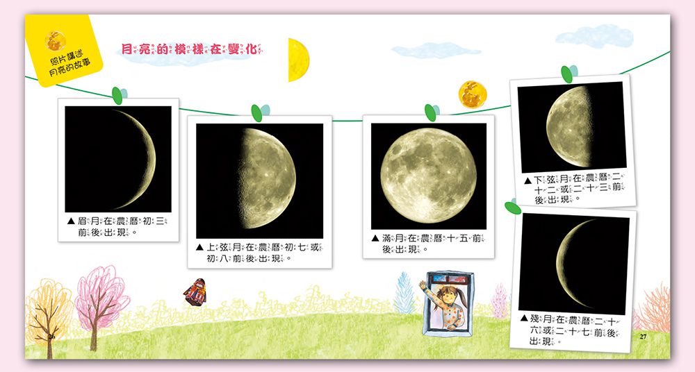 小牛頓科學教育有限公司 - 我家自然小百科-平裝-全彩 (17.3cm x 18.5cm)-60冊/2-6歲