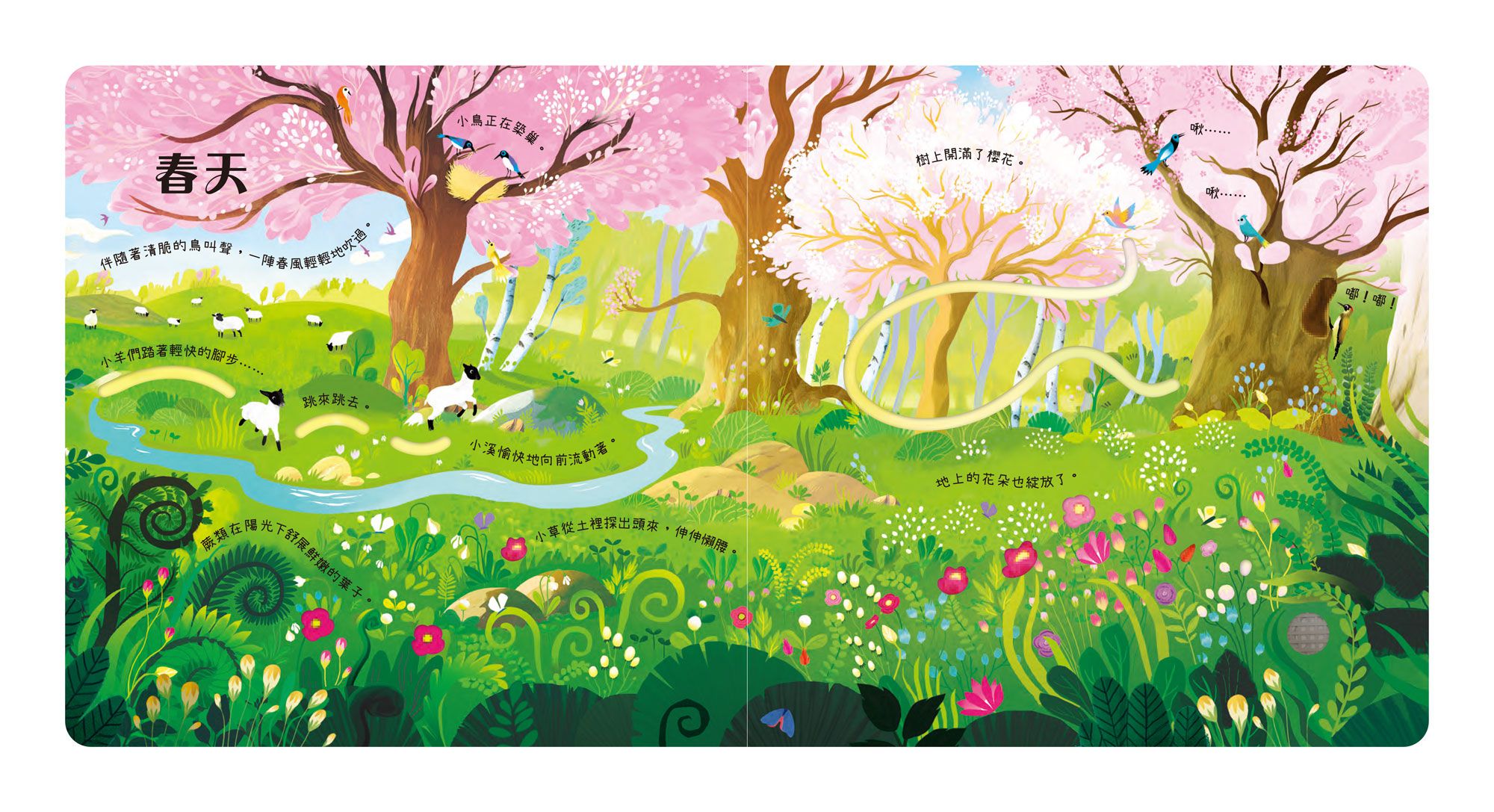 森林裡的音樂大師-四季演奏會