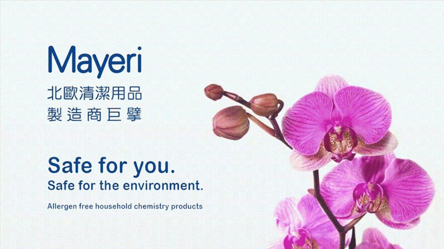 Mayeri - 低敏速淨濃縮洗碗精500ml (2入組)