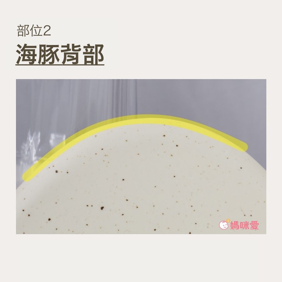 韓國 EDVIEW - 全身適用手工舒壓陶瓷刮痧板-白色海豚-1入-直播專屬