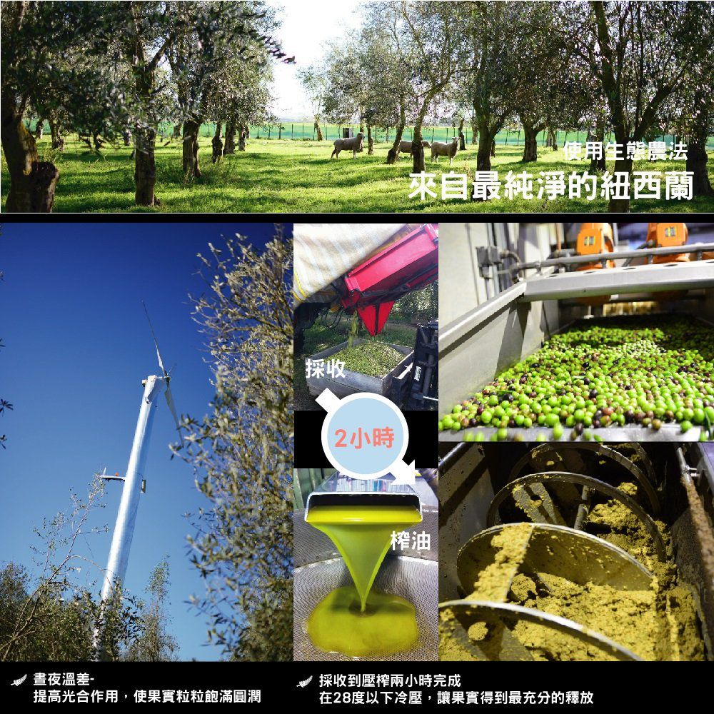 噴霧油新上市【紐西蘭原裝進口】頂級冷壓初榨酪梨油、調味品