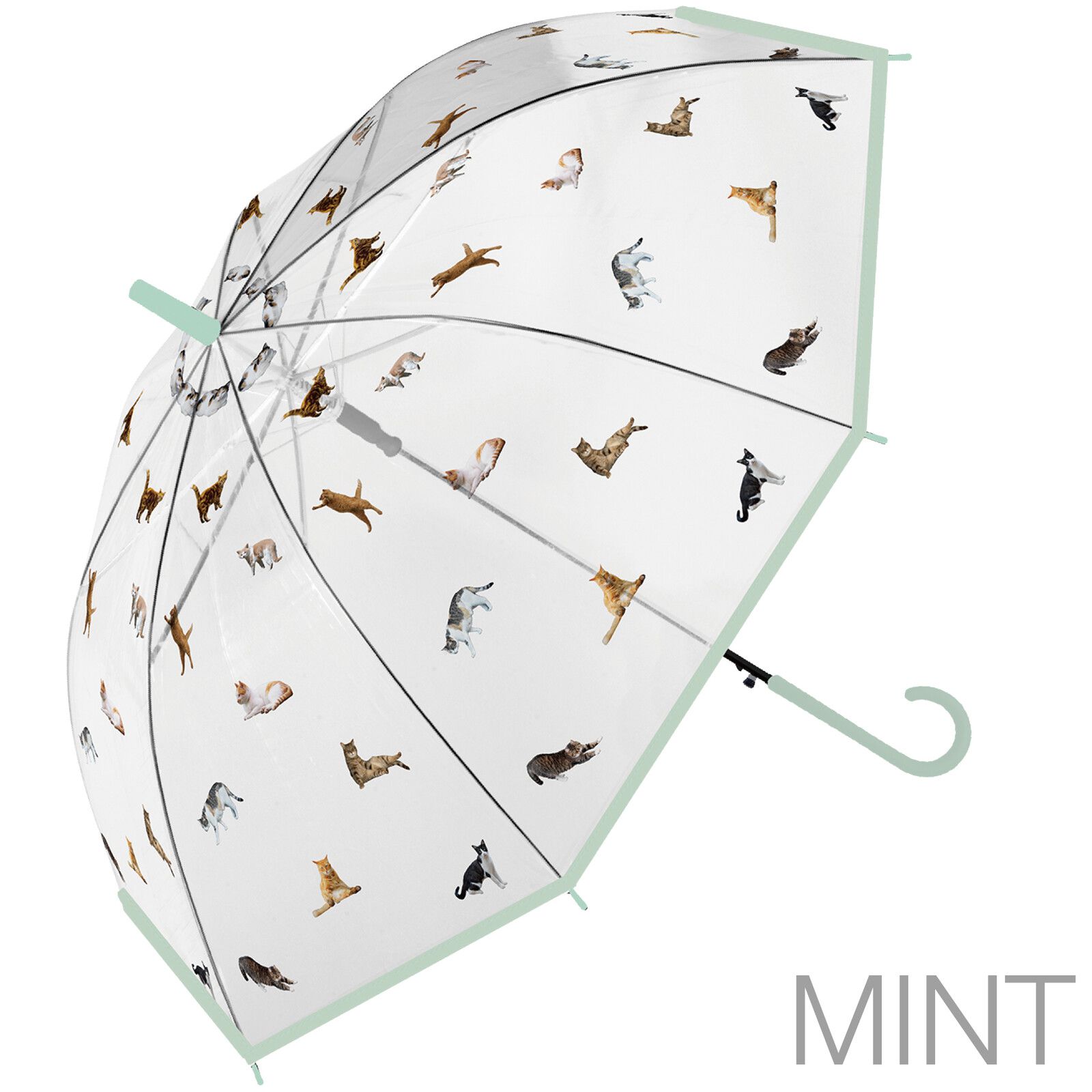 日本中谷 - [日雜推薦] 各種貓咪透明傘/雨傘-粉紫 (傘骨60cm)