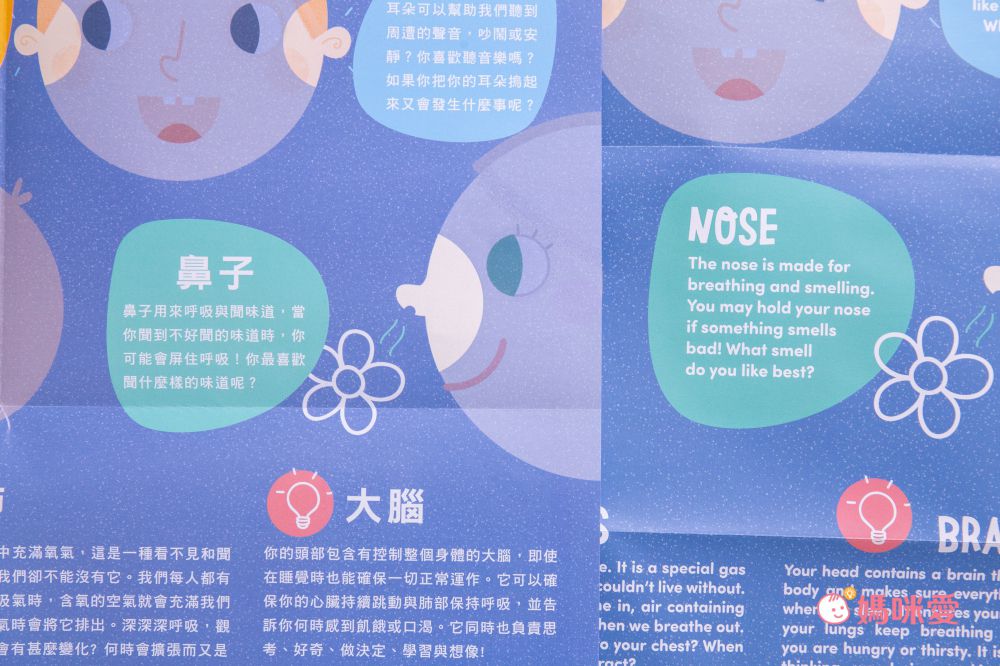 Banana Panda - 真正超大地板拼圖-我的身體-84片