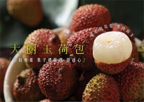 大樹玉荷包/荔枝(36MM)-帝王級 (1.5公斤-限量商品（含運價）)