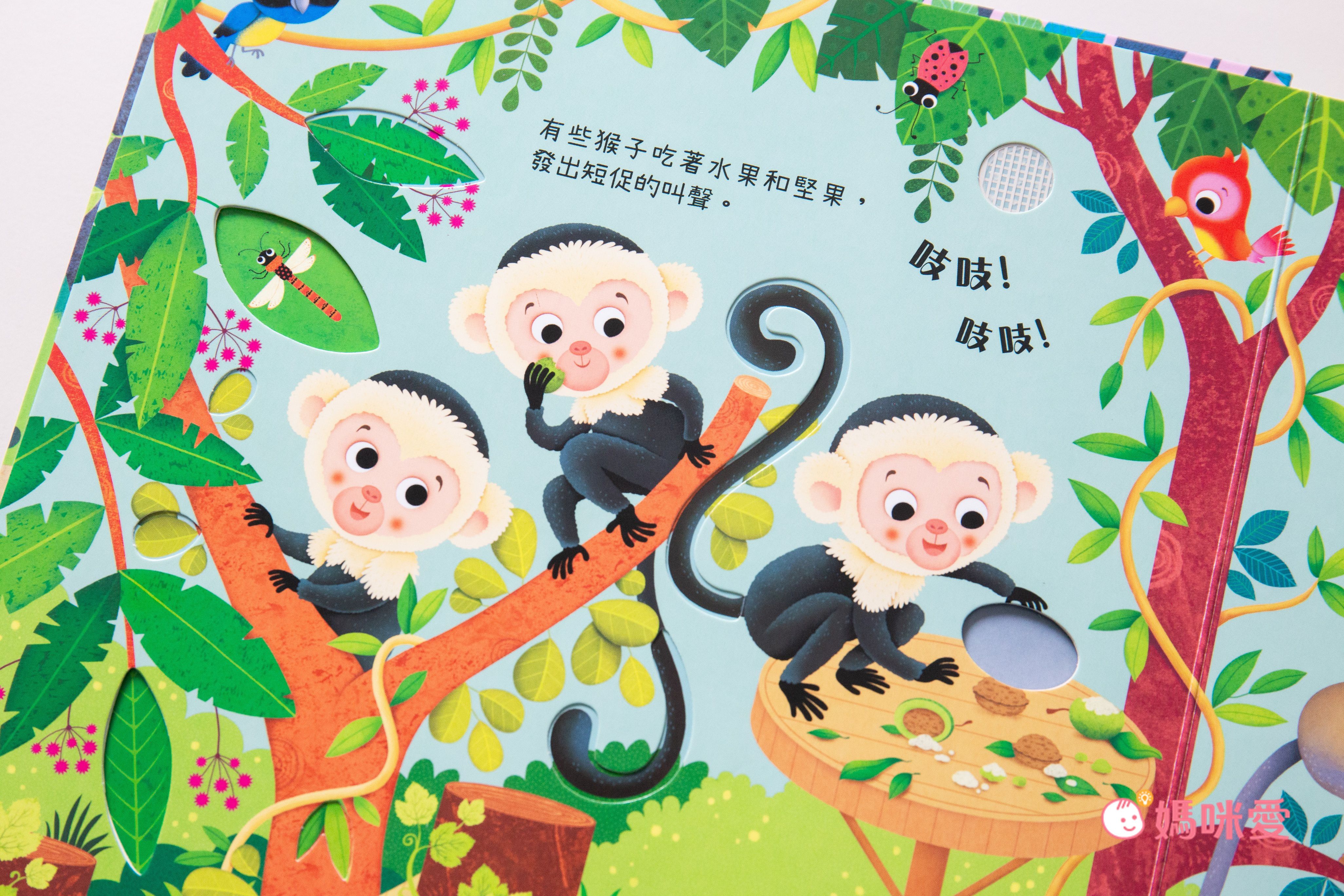 雙11限定特殺！最優惠★禾流文創★熱銷有聲書系列