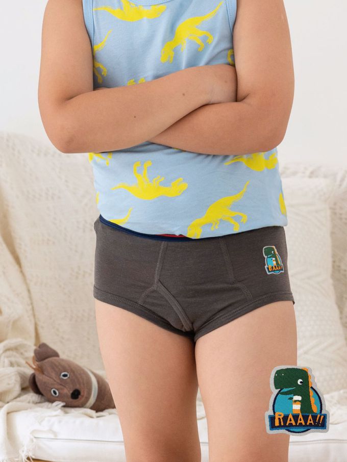 貝柔 Peilou - 天絲棉舒膚平衡童男三角褲-貼布繡-暴龍-灰