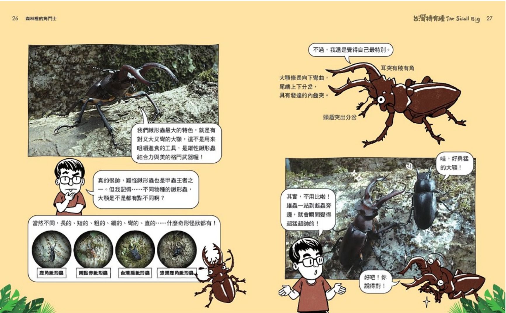 The Small Big台灣特有種1：跟著公視最佳兒少節目一窺台灣最有種的物種