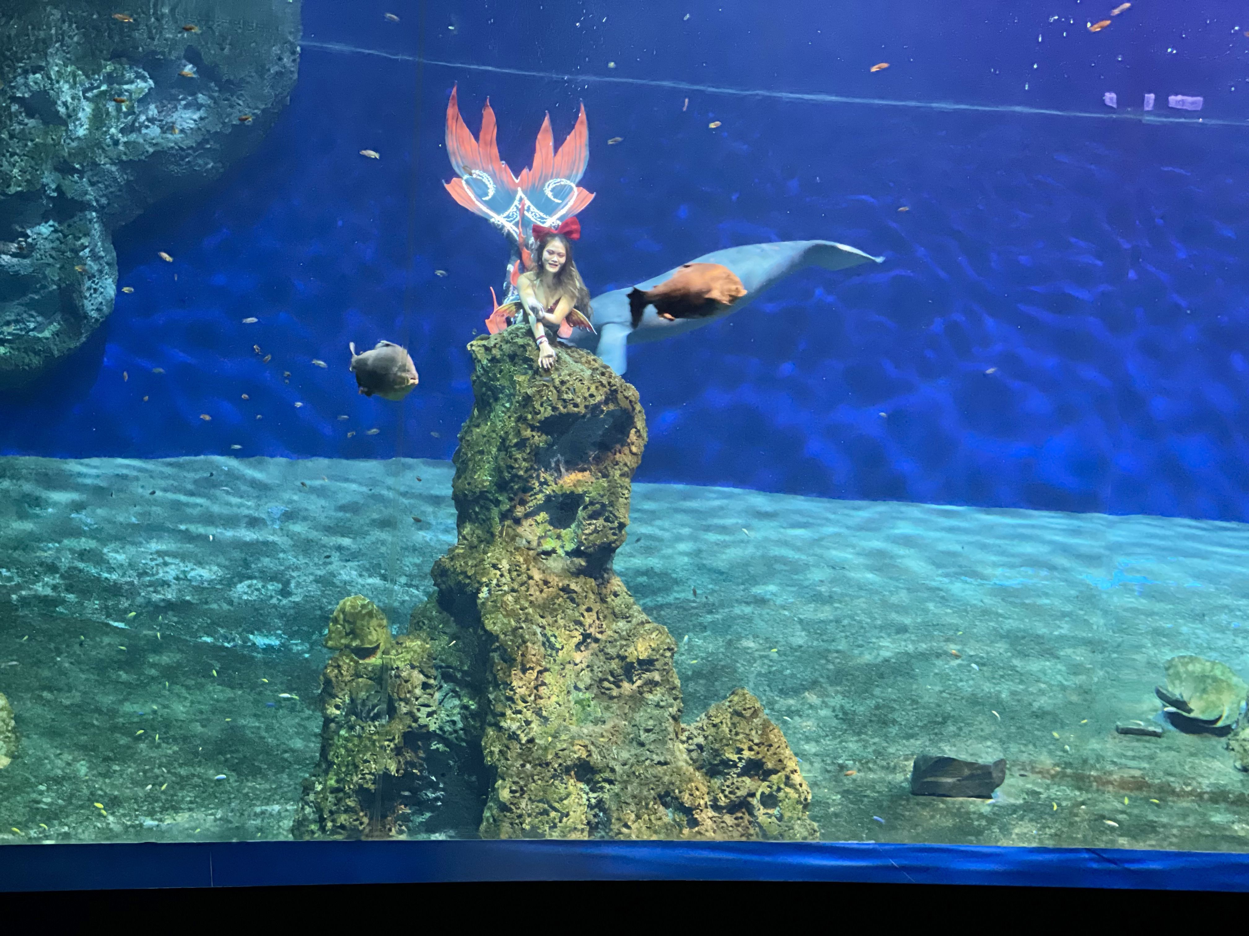 花蓮【悅樂旅店】3折起★再送樂園門票！