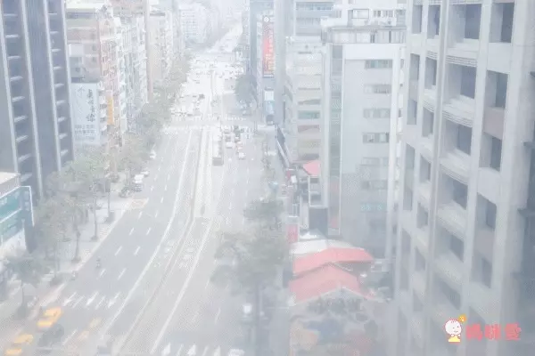 【義大利製 ro-sham-bo】親子時尚太陽眼鏡