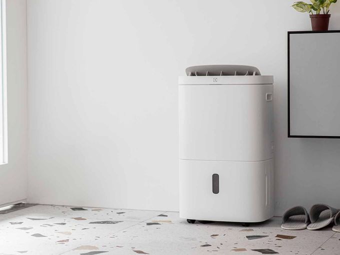 Electrolux 伊萊克斯 - 極適家居系列700 清淨除濕機-EDH14TRBW2-白-14L