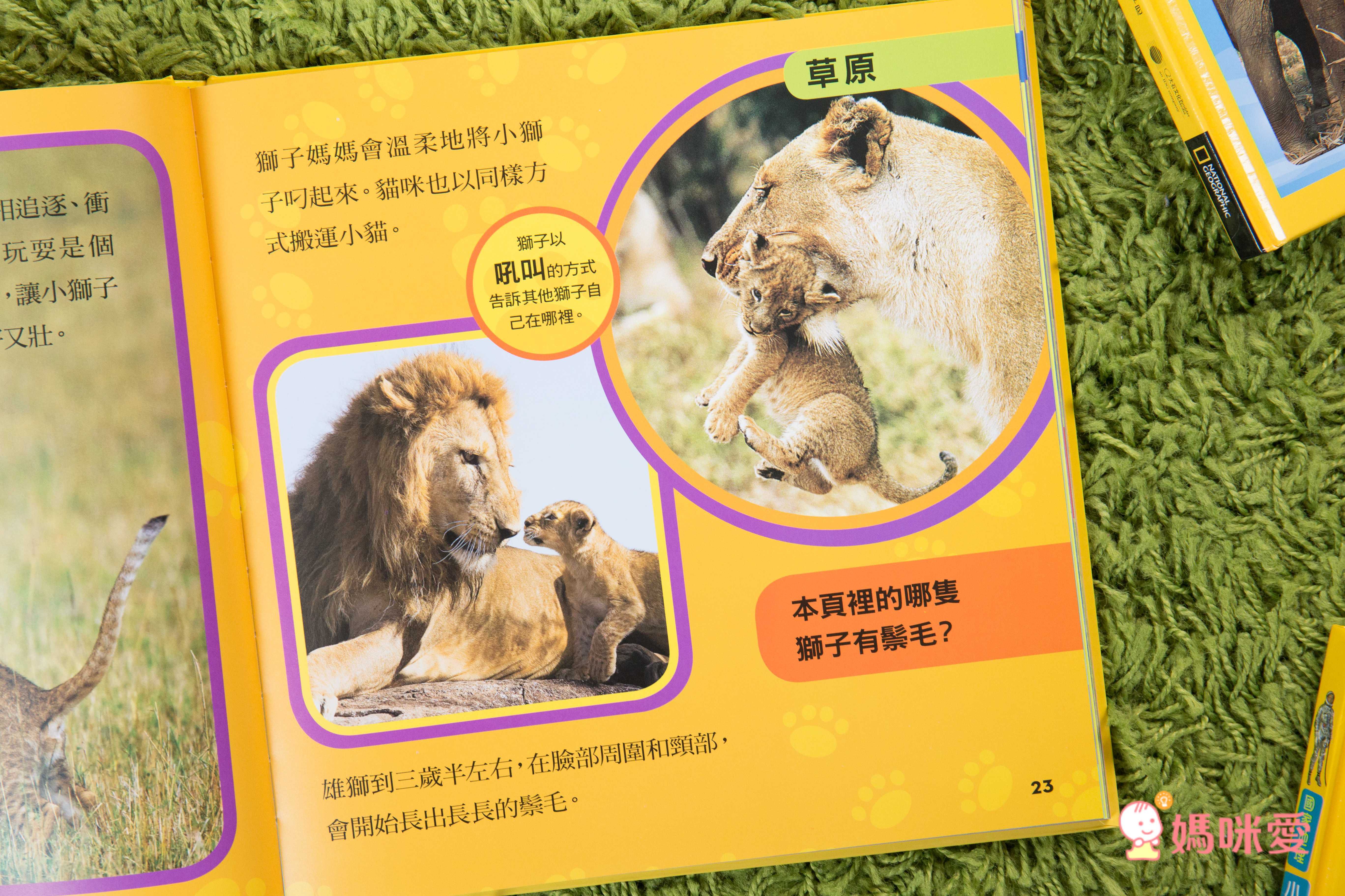 小小動物探險家 (精裝 / 128頁 / 全彩印刷)